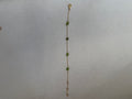 Peridot Station Bracelet — Gold Filled